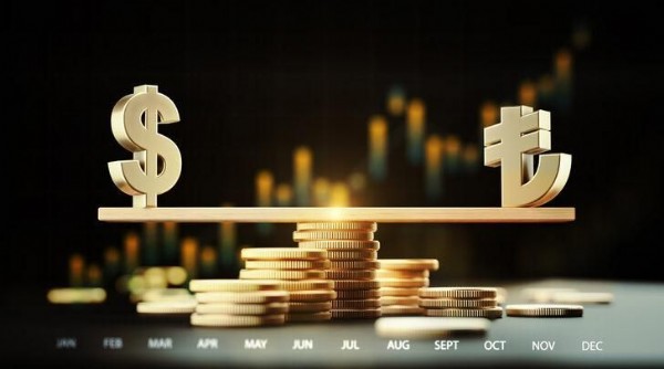 21 Ocak Dolar Ne Kadar? Dolar Artacak Mı?